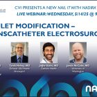 Webinar: Nail it with Nadira: Leaflet Modification - Transcatheter Electrosurgery 